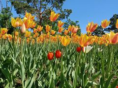 -长春公园(普阳街道)