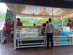 -大队长大灶鹅
