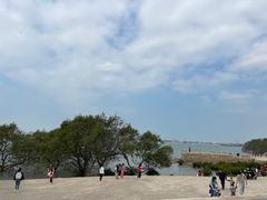 -宝安西湾红树林湿地公园