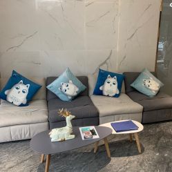 -MC皮肤管理中心