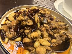 -志晖园圆子鸡·辣子鸡(阳光店)