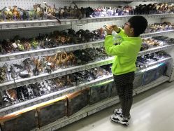 -玩具反斗城(正大广场店)