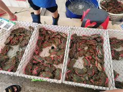 肉蟹-先锋海鲜市场