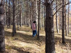 -塞罕坝国家级自然保护区