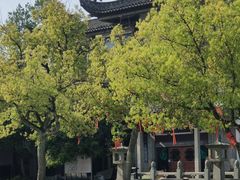 -赭山公园