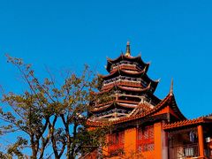 -铁山坪森林公园