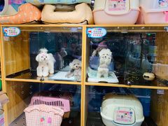 -FAELING PETS美天灵宠物(富力广场店)