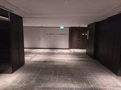 -新加坡乌节希尔顿酒店 (SG Clean)