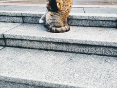 -苏州河梦清园环保主题公园