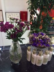 鲜花让我们的环境更舒适-甲壳儿美甲美睫