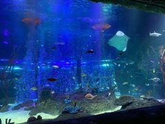 -沈阳海洋探索中心