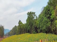 -桤木河湿地公园