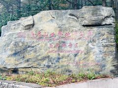 -白草畔自然风景区