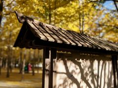 -天元公园