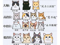 -翊宠yipet猫狗购宠庄园犬舍•猫舍