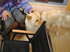 -壹迦桌游·血染钟楼剧本杀狼人杀