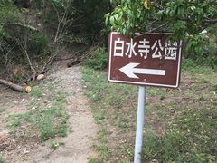 -白水寺森林公园