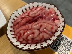 -铭记蛙小仙·活蛙畅享(CBD万达广场店)