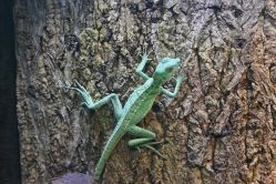 -酷嗒动物文化乐园(cutezoo西溪乐天城店)