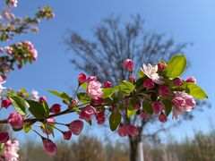 -南开大学(津南校区)