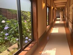 -南紀白浜 浜千鳥の湯 海舟