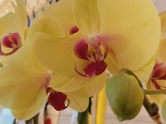 -太原凯宾斯基饭店