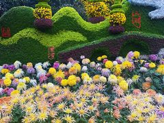 -杭州植物园