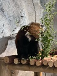 -Zoolung Zoolung动物主题公园(海信广场店)