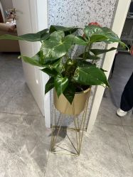 -LJOY丽锦造型·烫发染发