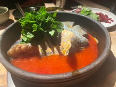 -毛辣果·酸(OHA复兴西路店)