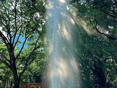 -九龙公园