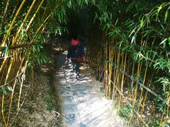 -竹子庵公园