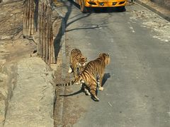 -大连森林动物园