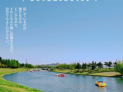 -羊亭河湿地公园