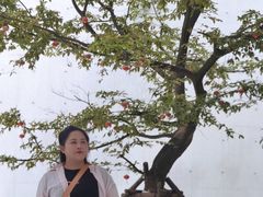 -中国宣纸文化园
