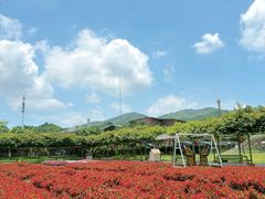 -盈香心动乐园