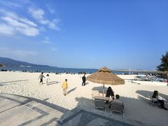 -杨梅坑