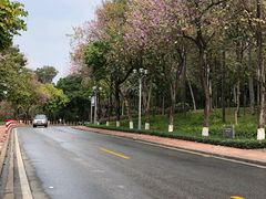 -沙河粉村·国家非遗传承(云台店)