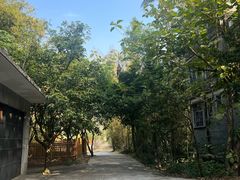 -开平碉楼文化旅游区马降龙景区
