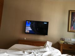 -维也纳国际酒店·深圳北站店