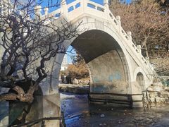 -团结湖公园