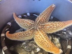 高压锅海星-辣小鲜·南昌大排档(船山路店)