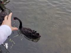-五缘湾湿地公园