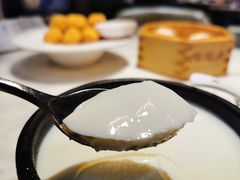 顺德双皮奶-陶陶居酒家(海岸城店)