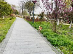 -长广溪湿地公园