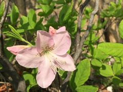 -丹东市五龙山风景区