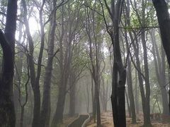 -火炉山森林公园