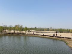 -东郊湿地公园