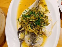 -乐忻皇朝(上海中心大厦店)