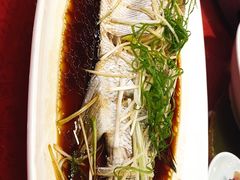 -青岛蓝海大饭店·渔歌舫(李沧店)